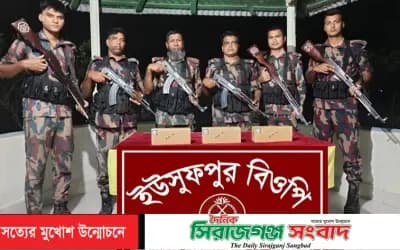চারঘাটে ১৫ হাজার পিস ভারতীয় ইলেকট্রিক রেজিস্টেন্স জব্দ