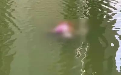 সিরাজগঞ্জে রেলস্টেশনের পাশের পুকুরে ভাসছিল নারীর মরদেহ