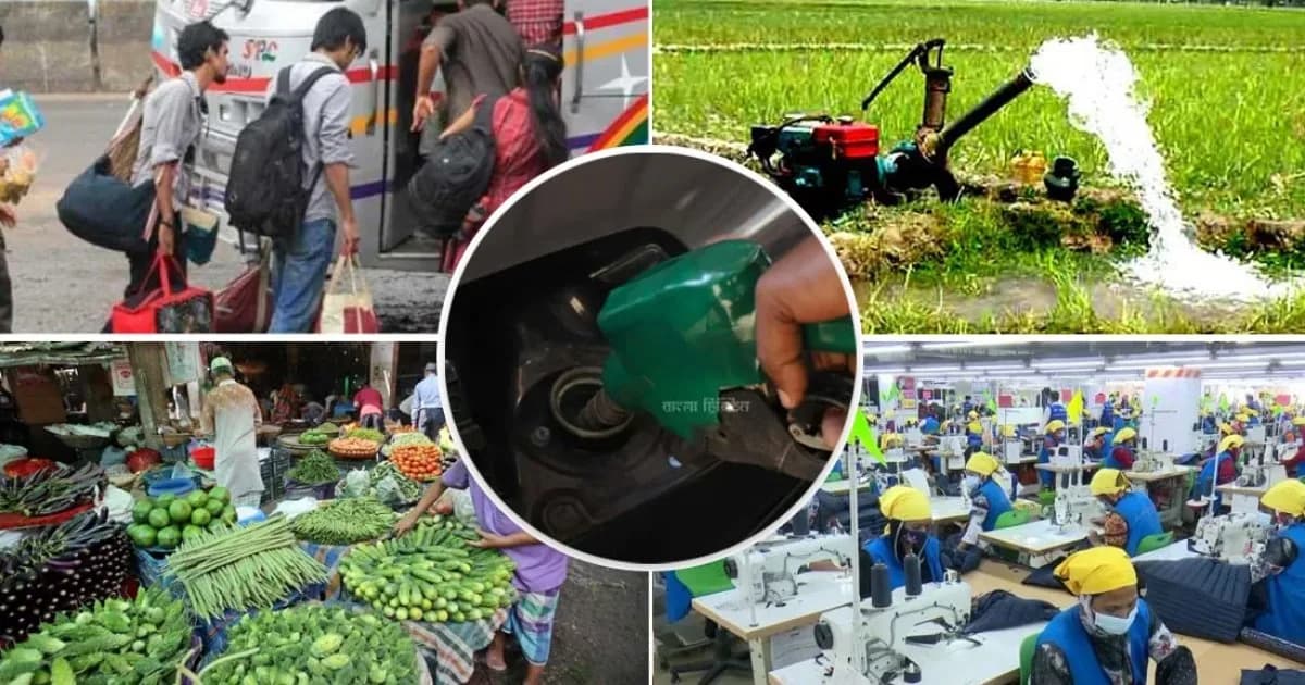তেলের দাম বাড়িয়ে সরকার কত টাকা পাবে, জনগণের পকেট কাটা যাবে কত?