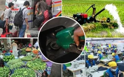 তেলের দাম বাড়িয়ে সরকার কত টাকা পাবে, জনগণের পকেট কাটা যাবে কত?