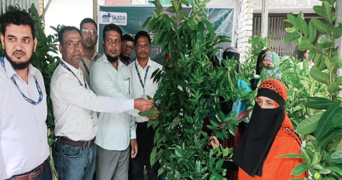 শাহজাদপুরে সাজেদা ফাউন্ডেশনের উদ্যোগে চারা বিতরণ