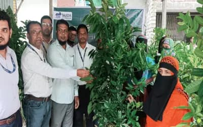 শাহজাদপুরে সাজেদা ফাউন্ডেশনের উদ্যোগে চারা বিতরণ