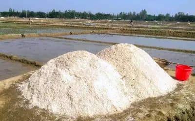 লবণের মৌসুম শুরুর ঠিক আগে আমদানির অনুমতি, ক্ষুব্ধ চাষিরা