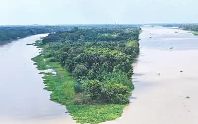 সৌরবিদ্যুৎকেন্দ্রের জন্য কাপাসিয়ার ধাঁধার চর ইজারা চান বিএনপির সাবেক নেতা