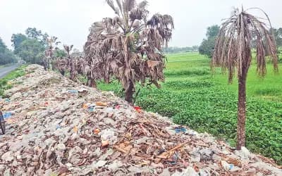 ২৩ পৌরসভার একটিরও ভাগাড় নেই, বর্জ্য ফেলা হয় যেখানে–সেখানে 