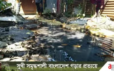 সিরাজগঞ্জে ডাইং কারখানার বর্জ্যে ২৭ মাস ধরে জলাবদ্ধতা