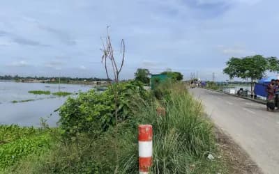 ৫০ টাকার গাছ ৪০০ টাকায় কিনে বৃক্ষরোপণ কর্মসূচি, এক মাসেই যাচ্ছে মরে