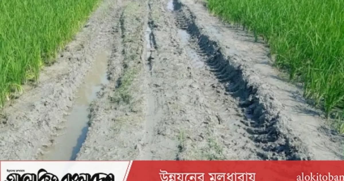 সিরাজগঞ্জে মাত্র ২ কিলোমিটার কাঁচা সড়ক পাকা না করায় চরম ভোগান্তি