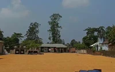 রায়গঞ্জে বন্ধের মুখে চালকল, ব্যাহত হতে পারে সরকারি খাদ্য সংগ্রহ