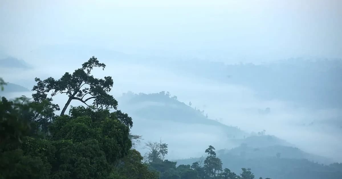 এবার শীত কি কম হবে, কেন এমনটা বলা হচ্ছে
