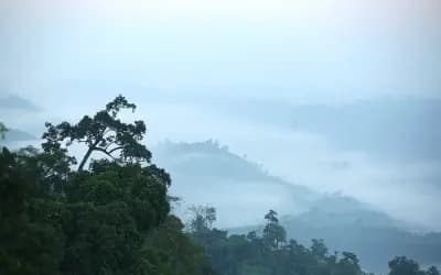 এবার শীত কি কম হবে, কেন এমনটা বলা হচ্ছে
