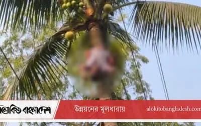 রায়গঞ্জে গাছ পরিষ্কার করতে গিয়ে প্রাণ গেল যুবকের