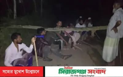তাড়াশে গরু চুরি ঠেকাতে রাস্তায় গাছ ফেলে রাতভর পাহারা গ্রামবাসীর