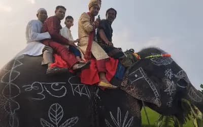 মা–বাবার ইচ্ছা পূরণে হাতির পিঠে বরযাত্রা, দেখতে ভিড় স্থানীয়দের