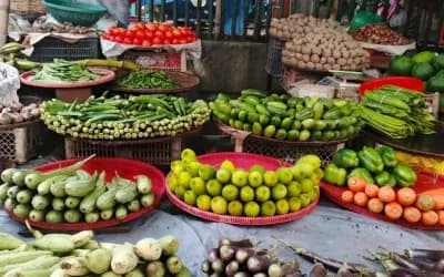 ‘অল্প অল্প কিনে কোনোমতে জীবন চালাচ্ছি’