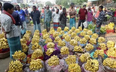 করতোয়ার তীরে কলার হাট