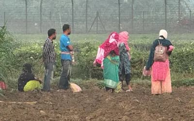 মেহেরপুর ও কুষ্টিয়া সীমান্তে ১০ জনকে ঠেলে পাঠানোর চেষ্টা বিএসএফের, ঠেকাল বিজিবি