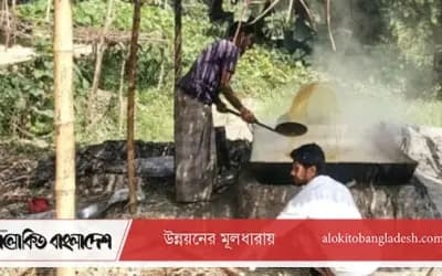 সিরাজগঞ্জে আখের বাম্পার ফলন, শীতের শুরুতেই গুড় তৈরি
