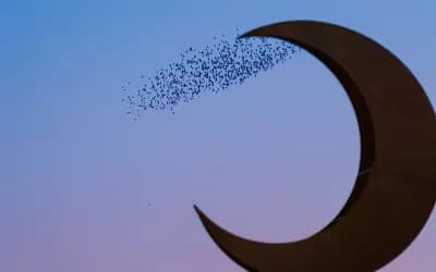 ‘আল-আবওয়া’: নবীজির মা যেখানে মারা যান
