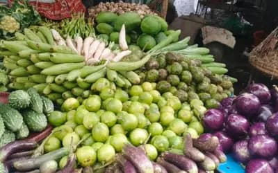 ডিমের দামে পরিবর্তন, স্বস্তি নেই সবজিতে  