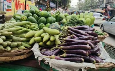 ‘আমরা এখন আল্লাহর ওয়াস্তে চলি, আমাদের শখ মারা গেছে’