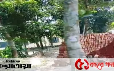 সিরাজগঞ্জের তাড়াশে সরকারি গাছ কেটে বিক্রি ও বিদ্যালয়ের প্রবেশ পথের সামনে বহুতল ভবন নির্মাণের অভিযোগ