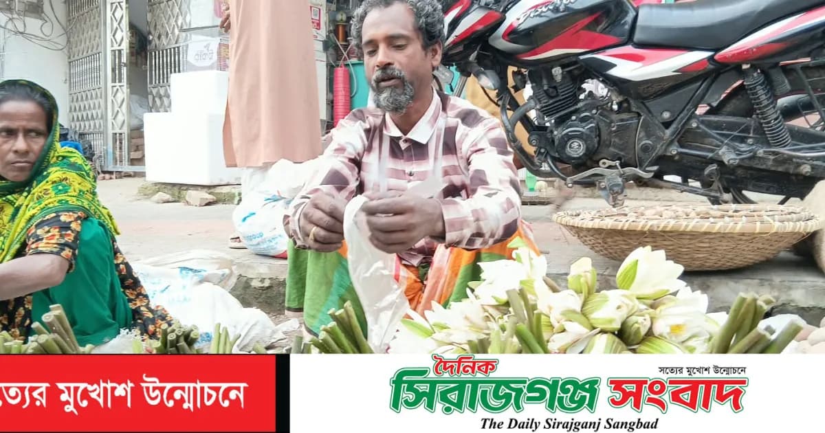 চলনবিলের শাপলা-ঢ্যাপ বিক্রিতে সংসার চলে আব্দুল আলিমের