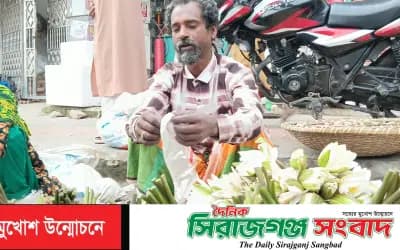 চলনবিলের শাপলা-ঢ্যাপ বিক্রিতে সংসার চলে আব্দুল আলিমের