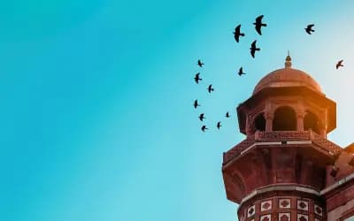 আগুনে পুড়ে মৃত্যু: নবীজি যে সুসংবাদ দিয়েছেন