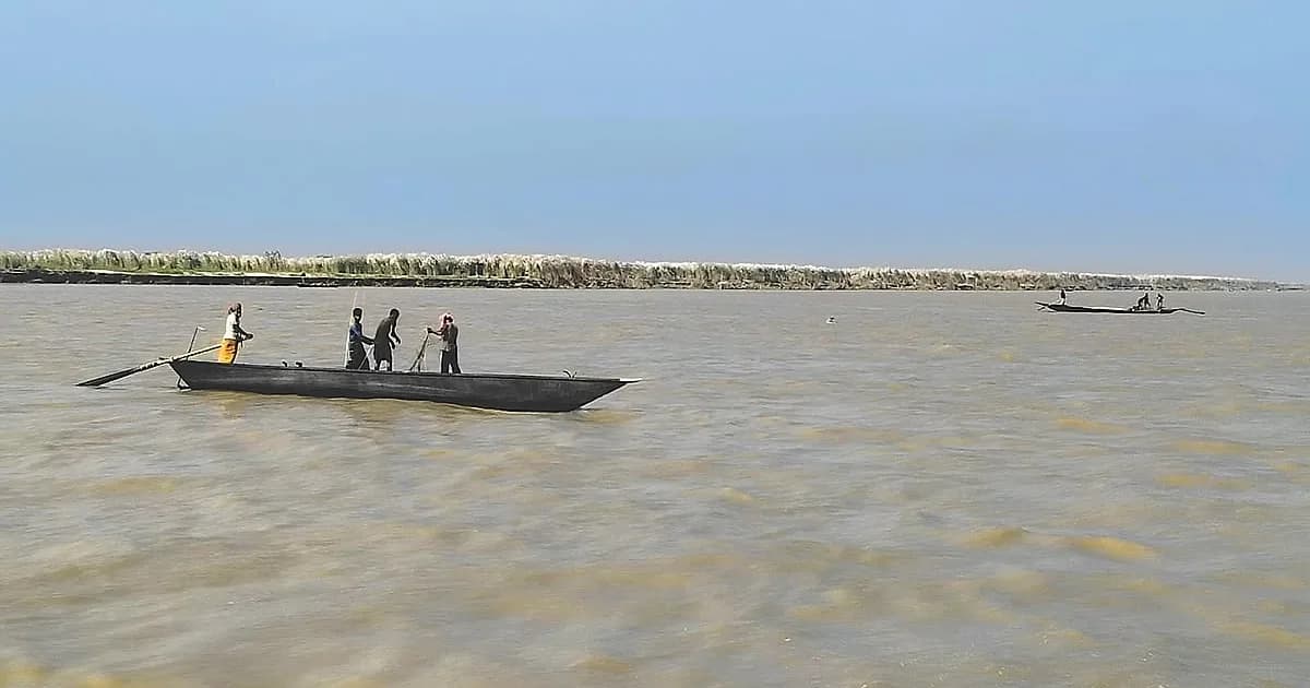ইলিশ রক্ষায় নিষেধাজ্ঞা, পদ্মায় অন্য চিত্র