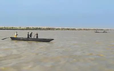 ইলিশ রক্ষায় নিষেধাজ্ঞা, পদ্মায় অন্য চিত্র