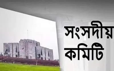 তলব করতে পারে, হাজিরে বাধ্য করতে পারে না সংসদীয় কমিটি