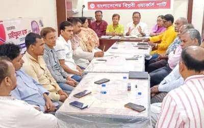 আ.লীগকে নিয়ে অতিরিক্ত মাতামাতি বুমেরাং হতে পারে: সাইফুল হক