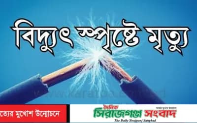 পীরগঞ্জে বিদ্যুৎস্পৃষ্টে ডেকোরেশন শ্রমিকের মৃত্যু
