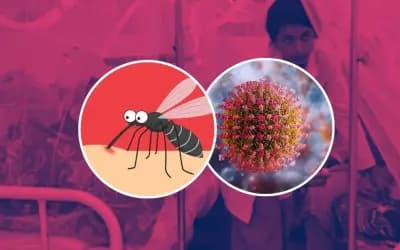 থামছে না মৃত্যুর মিছিল: ডেঙ্গু-হাম কি ‘গা-সওয়া’ হয়ে উঠছে?