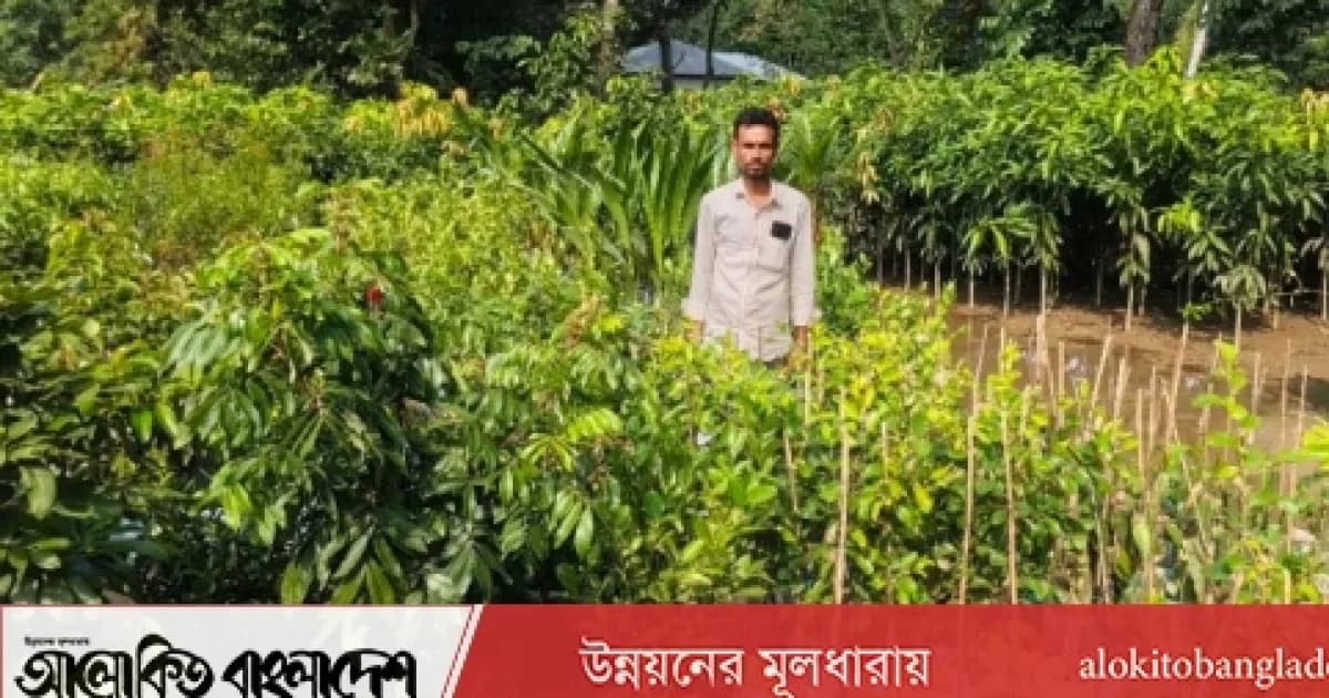 সিরাজগঞ্জে নার্সারীতে উৎপাদিত চারা বিক্রিতে স্বচ্ছলতা ফিরছে কৃষকের