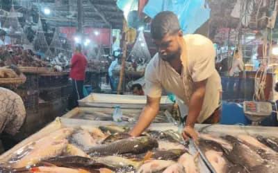 ‘আমাদের নীরব কান্না দেখার মতো কেউ নেই’