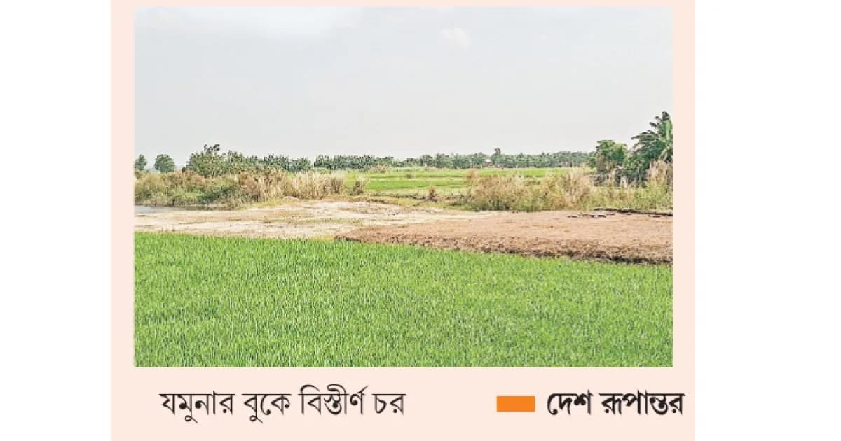 যমুনার চরে উদ্যোক্তাদের নতুন স্বপ্ন নাজমুল ইসলাম, যমুনার চর