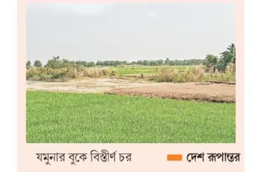 যমুনার চরে উদ্যোক্তাদের নতুন স্বপ্ন নাজমুল ইসলাম, যমুনার চর