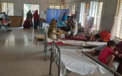 শাহজাদপুরে ডেঙ্গুর প্রকোপ, ভরসা মাত্র ১০ শয্যা