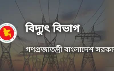 ভর্তুকিতে বিদ্যুৎ কোম্পানিগুলো: তারপরও কর্মীদের ‘প্রফিট বোনাস’ দেওয়া নিয়ে প্রশ্ন