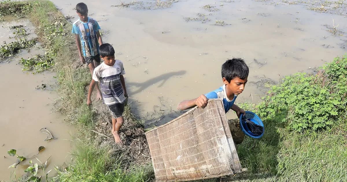 জলের টানে, মাছের খোঁজে