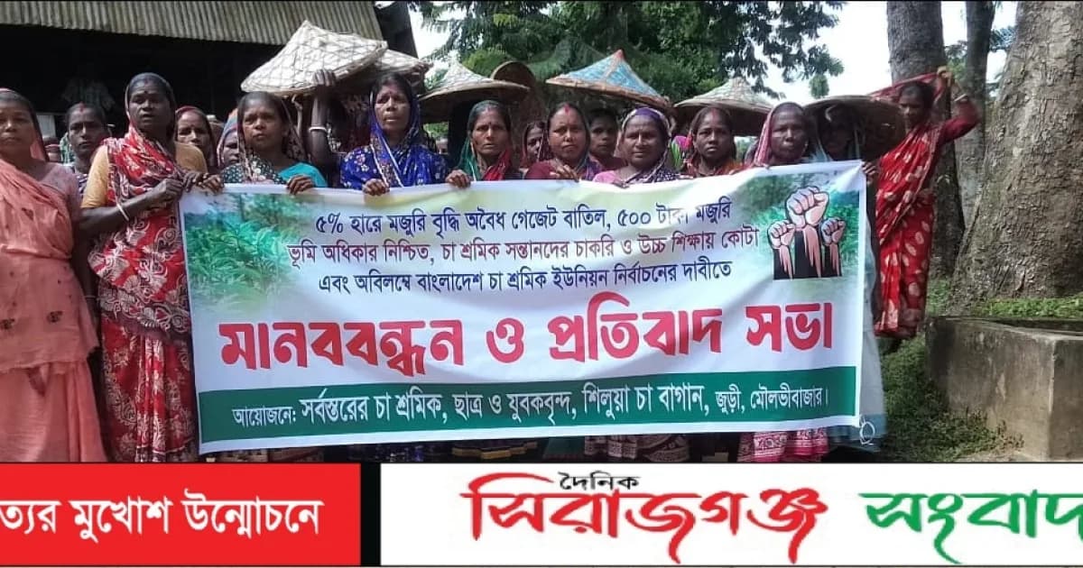 মৌলভীবাজারে শিলুয়া চা বাগানে ৭দফা দাবী বাস্থবায়নে ৫ শতাধিক চা শ্রমিকের মানববন্ধন