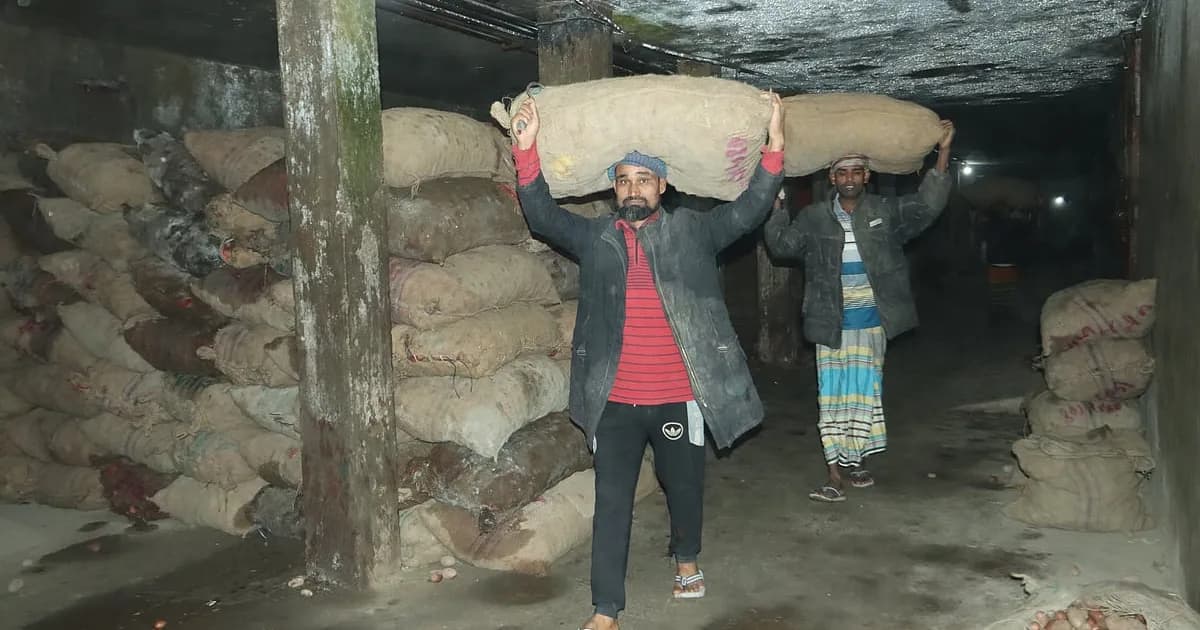 হিমাগারের আলু যাচ্ছে বাজারে