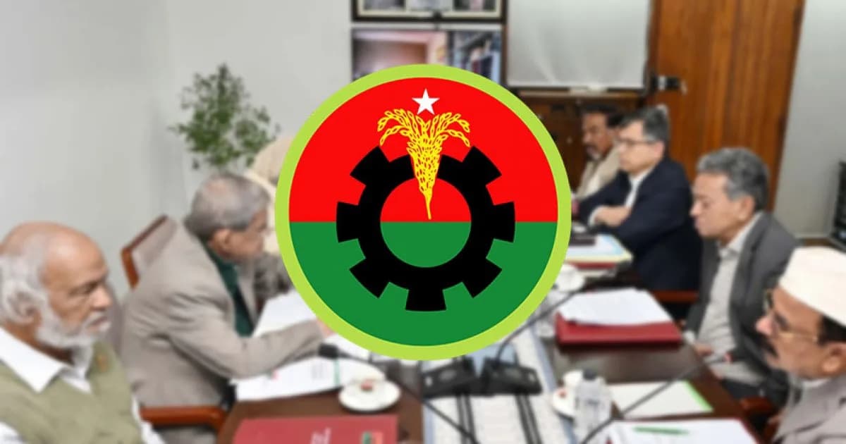 বিএনপির স্থায়ী কমিটির সদস্যদের কাজ কী