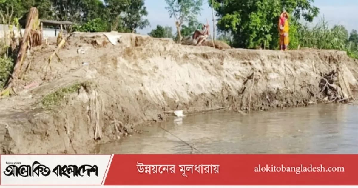 সিরাজগঞ্জে যমুনার ভাঙনে নিঃস্ব বহু পরিবার, চলছে ত্রাণ বিতরণ