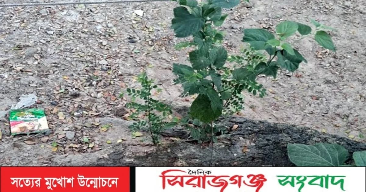 রাজশাহীতে পরিত্যক্ত অবস্থায় দুই ককটেল সদৃশ বস্তু উদ্ধার