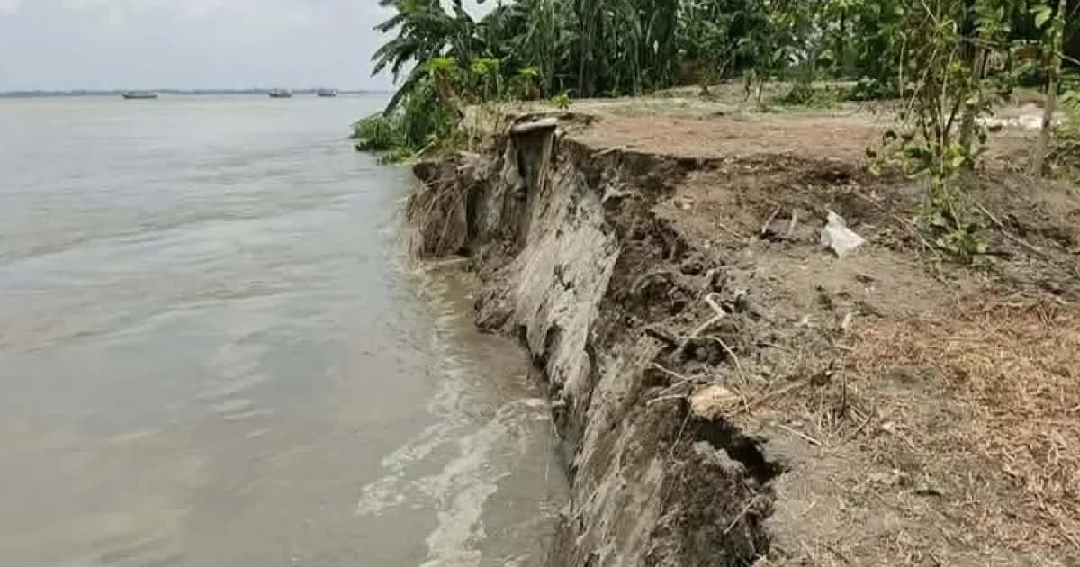 শাহজাদপুরে যমুনার ভাঙনে দুই শতাধিক ঘরবাড়ি বিলীন