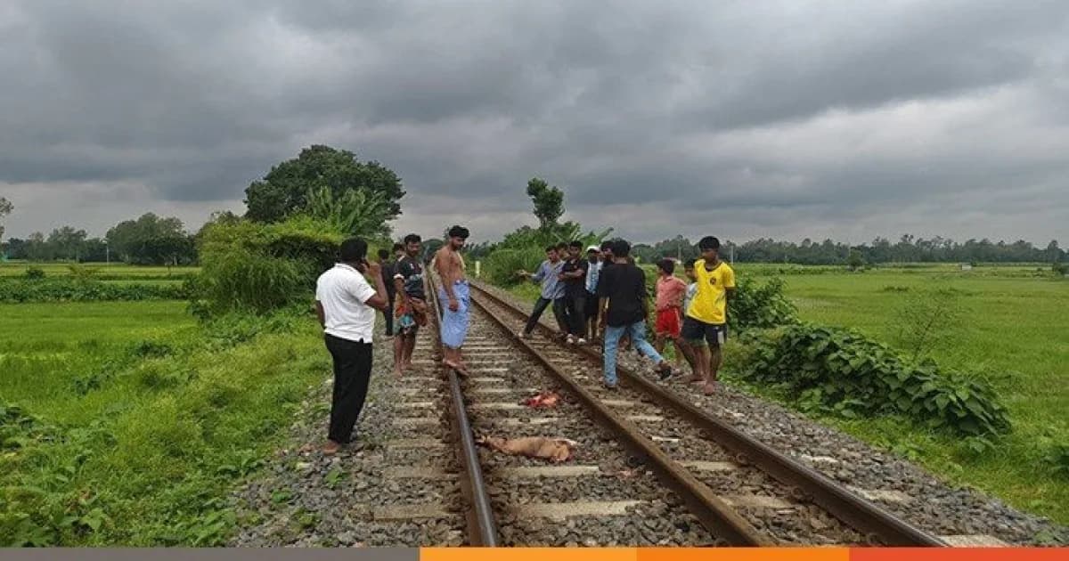 সিরাজগঞ্জে ট্রেনের নিচে চাপা পড়ে বৃদ্ধার মৃত্যু