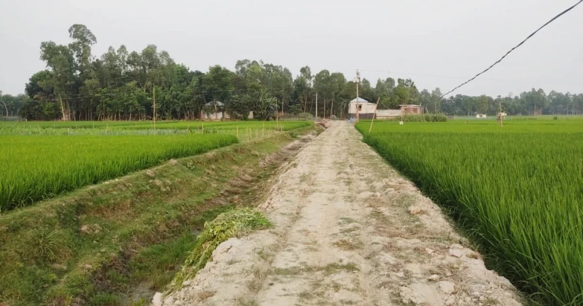 শাহজাদপুরে রাস্তাঘাটের ব্যাপক উন্নয়ন